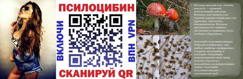 ссылка на мегу как зайти  Исилькуль  Галлюциногенные грибы Cubensis 